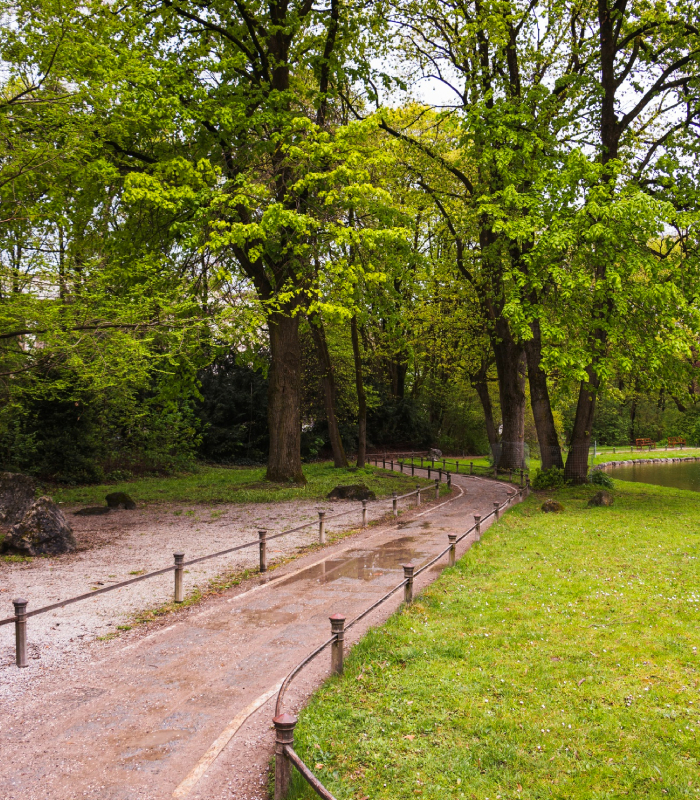 Entretien d’un parc arboré avec allée aménagée